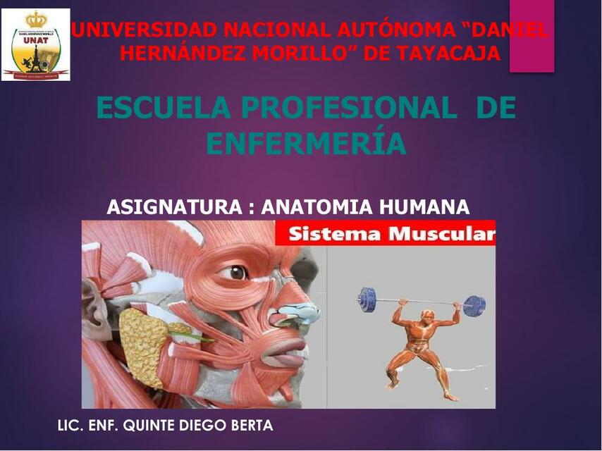 clase Anatomia del músculo esquelético