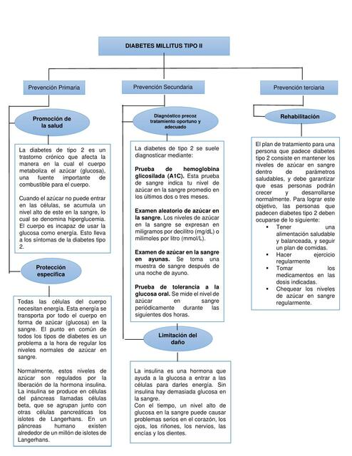 DIABETES MELLITUS 2 - HISTORIA NATURAL Y PREVENCIÓN