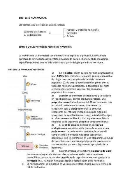 ENDOCRINO - FISIO PRIMERA PARTE