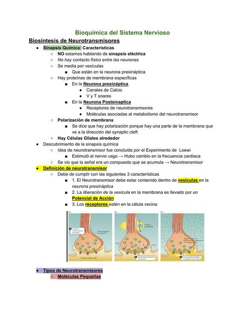 Biosíntesis de Neurotransmisores