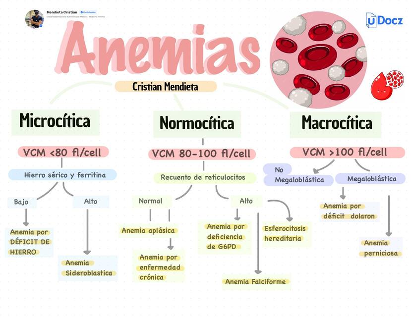 Clasificación de Anemias