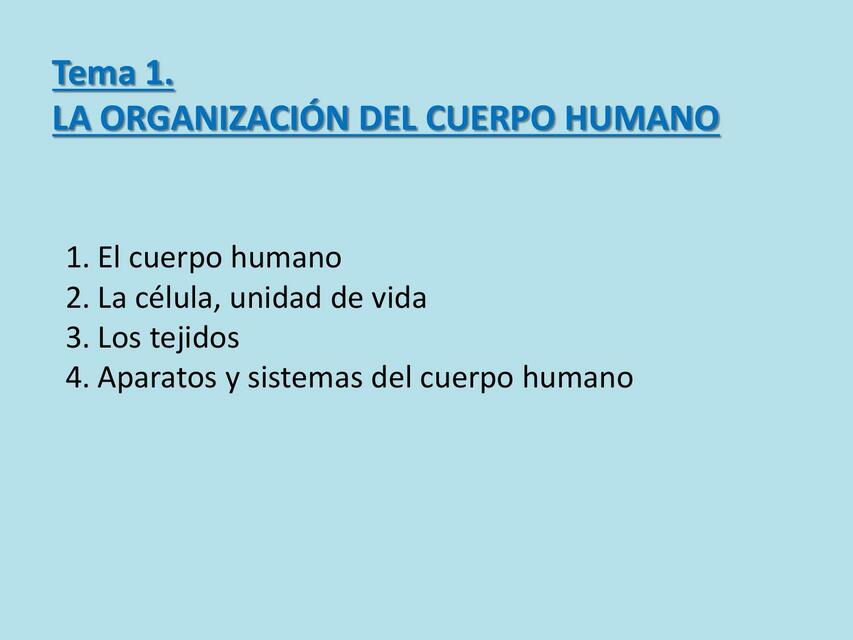 La organización del cuerpo humano