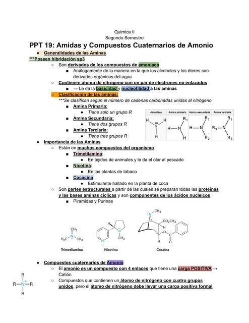 Amidas y Compuestos Cuaternarios de Amonio