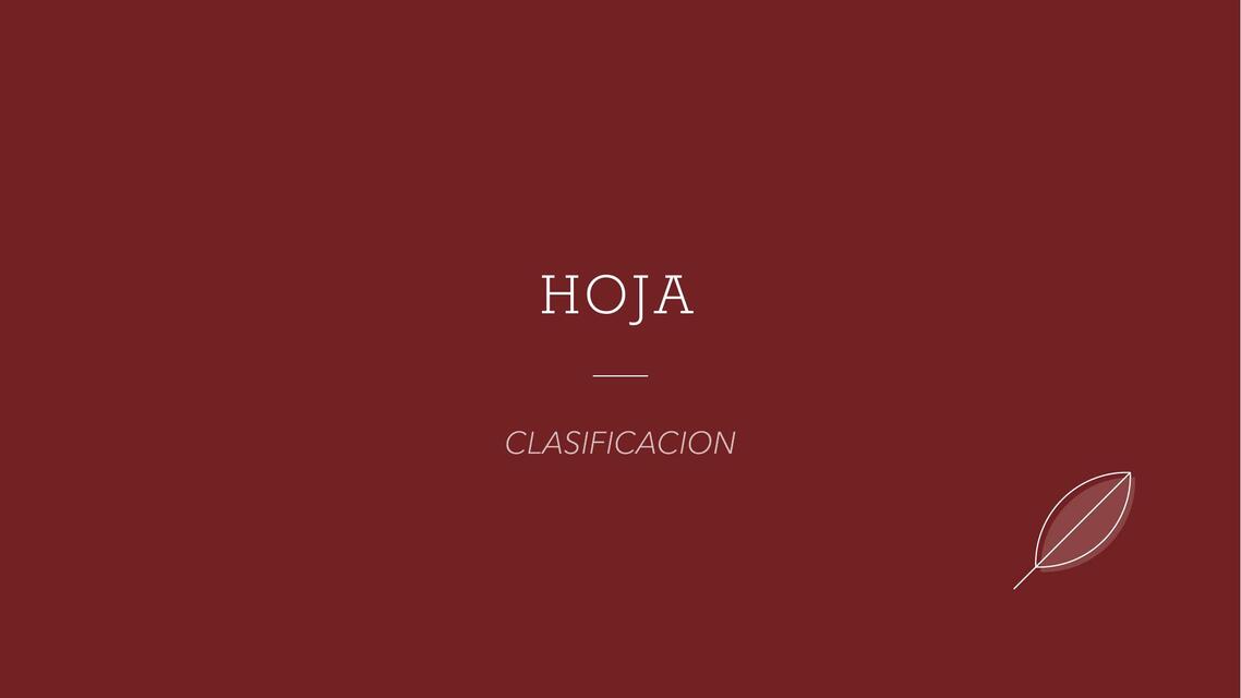 7 HOJA clasificacion