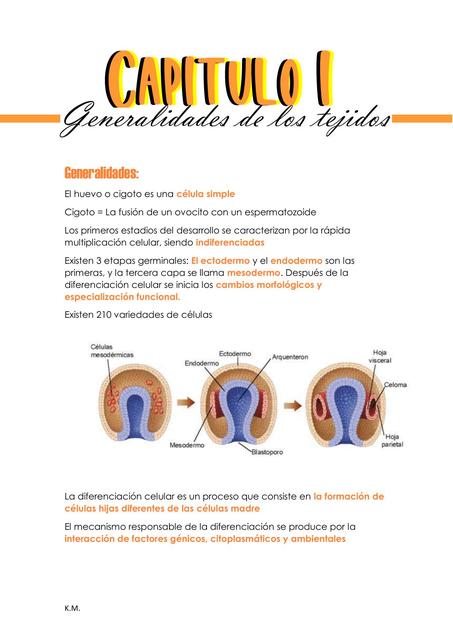 Generalidades de los tejidos