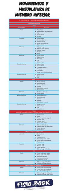 MOVIMIENTOS Y MUSCULATURA DE MIEMBRO INFERIOR
