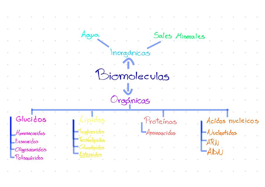 Biomoléculas