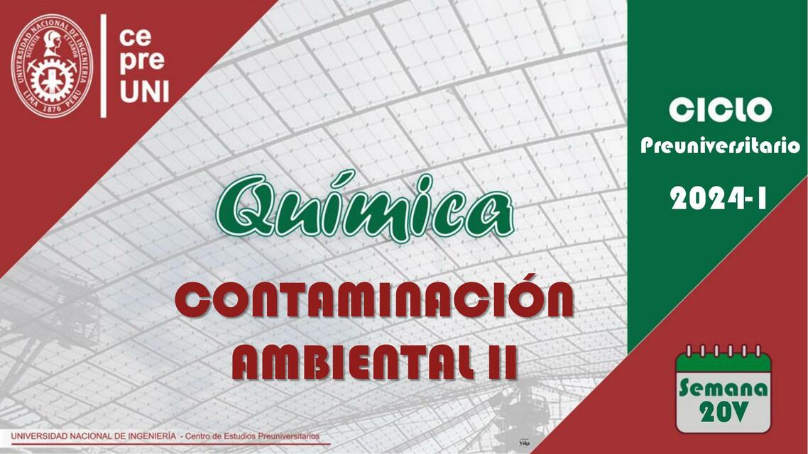 CONTAMINACION AMBIENTAL II