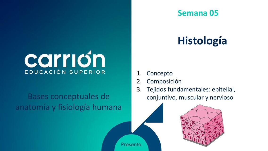 SESION DE APRENDISAJE 05