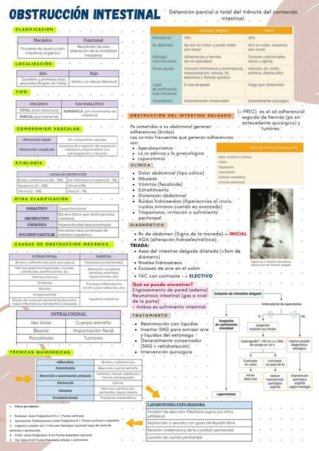 OBSTRUCCIÓN INTESTINAL