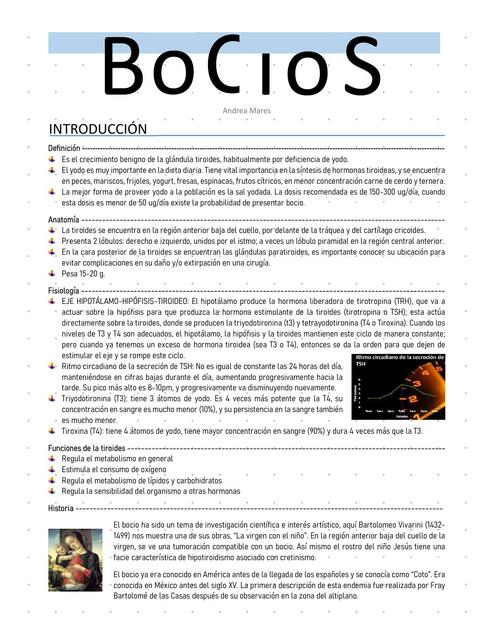 Bocios