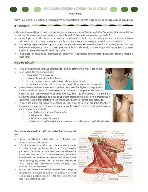 Patología benigna y congénita de cuello