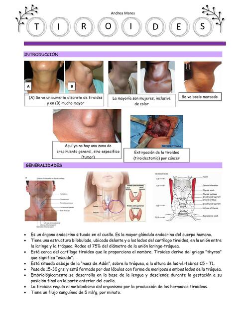 Tiroides Generalidades