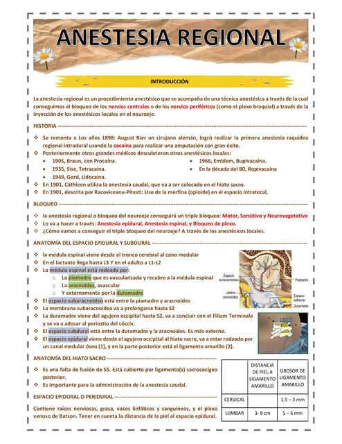 Anestesia Regional