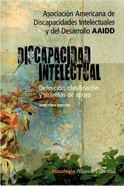 Discapacidad intelectual Definición, clasificación y sistemas de apoyo