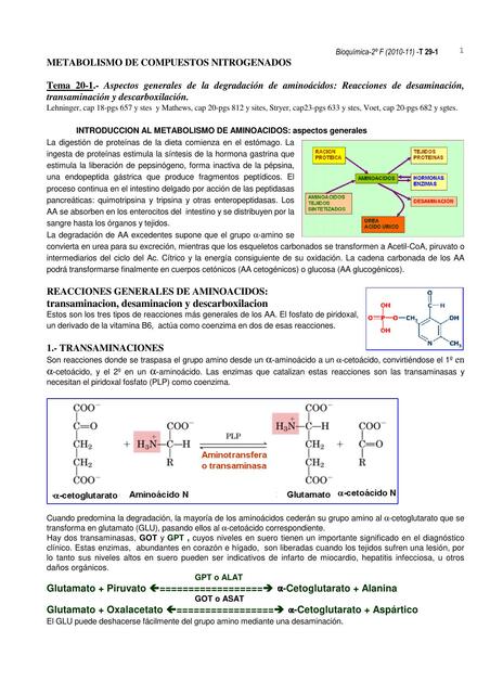 Metabolismo de compuestos nitrogenados Artículo