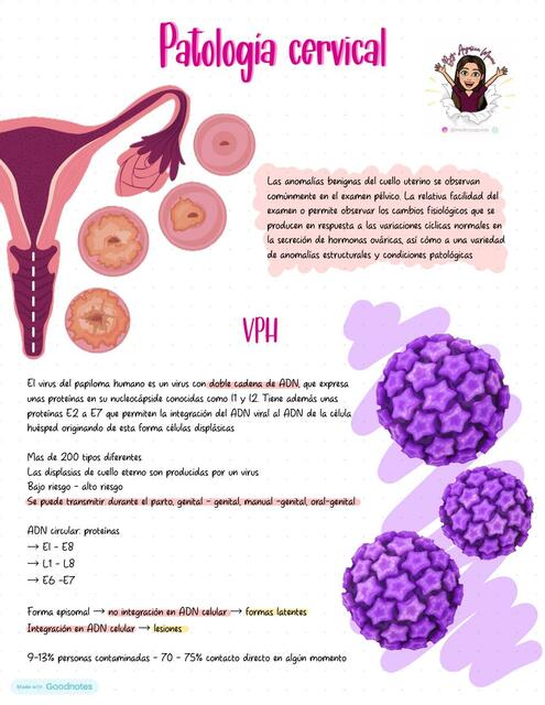 Patología Cervical