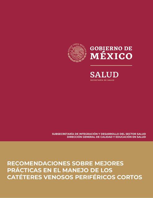 recomendaciones manejo cateteres