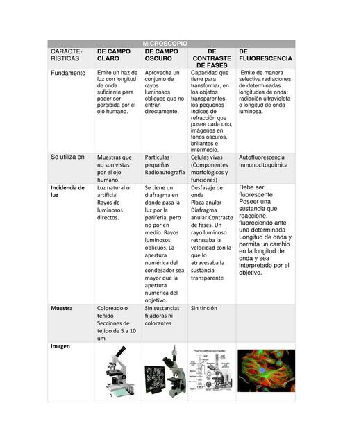 MICROSCOPIA