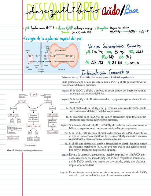 Desequilibrio acido base