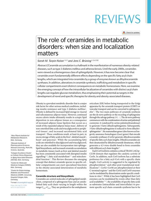 Roles de las ceramidas en las patologías metabólic