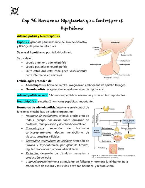 Resumen cap 76 Fisiología Guyton