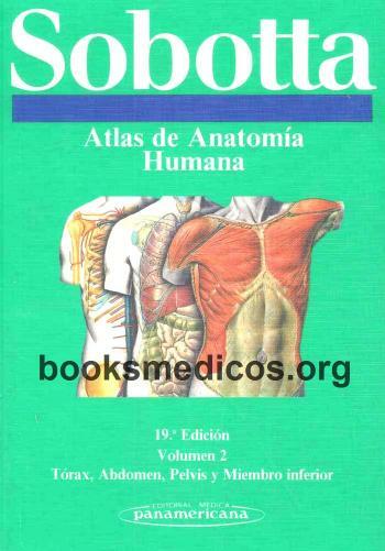 Sobotta Atlas de Anatomia Humana Vol2