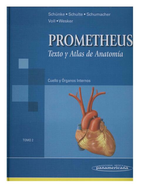 Texto y Atlas de Anatomía Tomo II Cuello y Organo