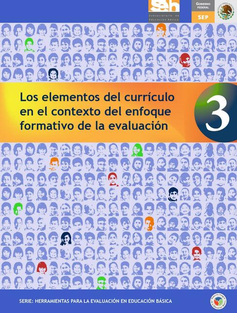 3 ELEMENTOS CURRICULO ENFOQUE FORMATIVO