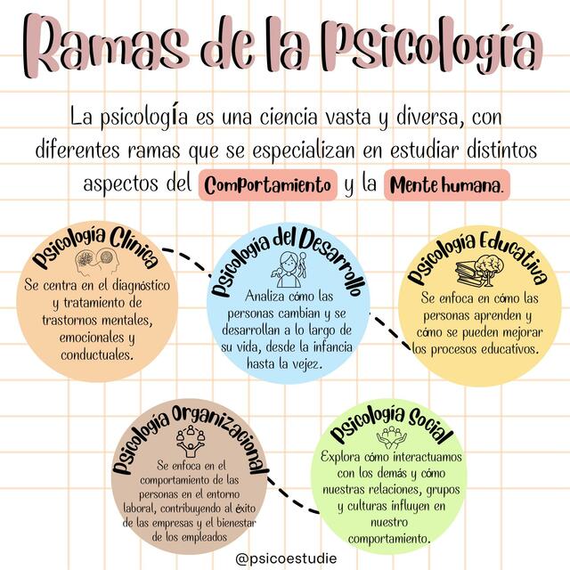 RAMAS DE LA PSICOLOGIA