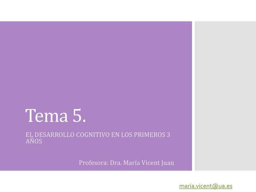 TEMA 5