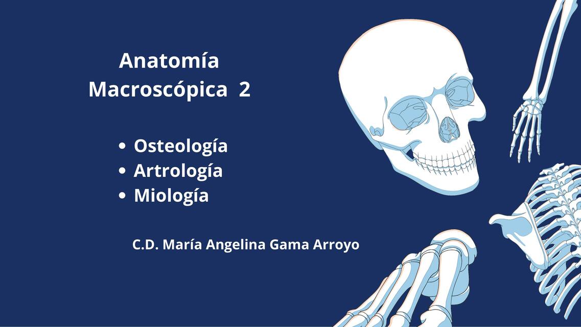 Anatomía Macroscópica 1 | OSCAR SANCHEZ HERNANDEZ | uDocz