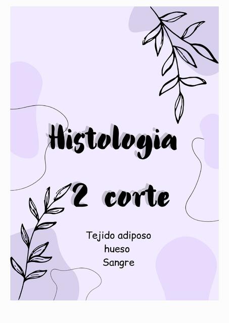 Histologia 2 corte