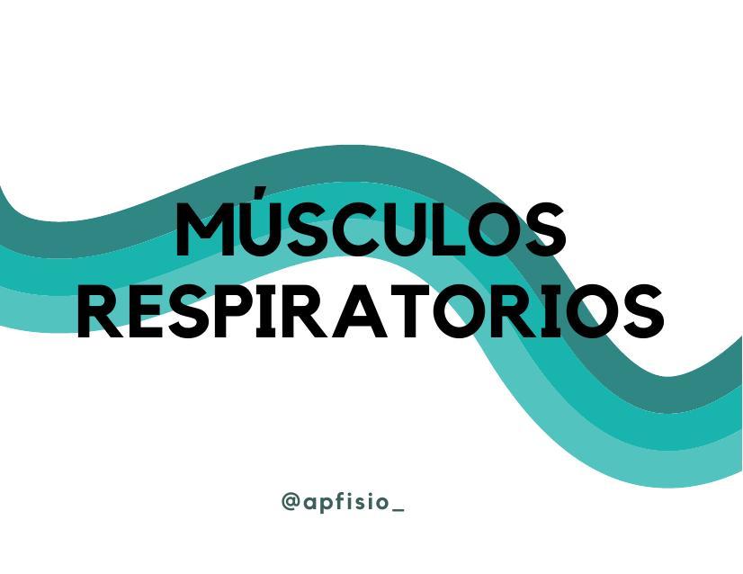 Músculos Respiratorios: Origen, inserción y acción 