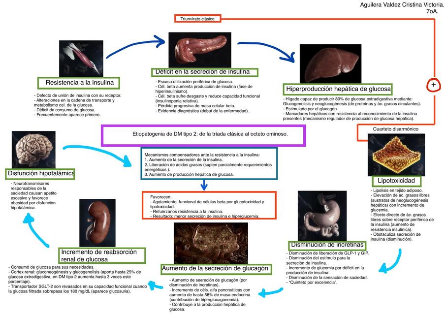 Mapa mental Octeto Ominoso