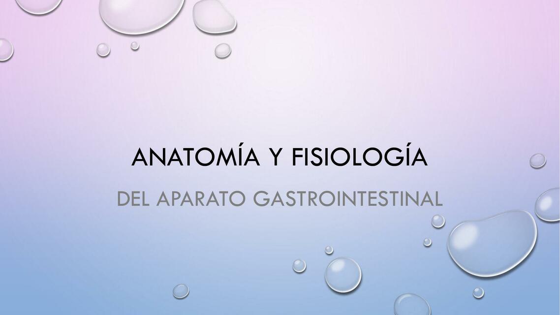 Anatomía y fisiología