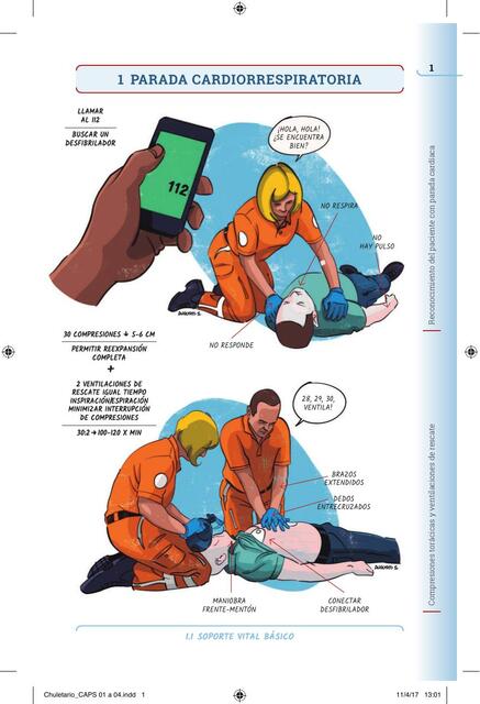 Atlas gráfico de urgencias: Capítulo I Parada cardiorespiratoria