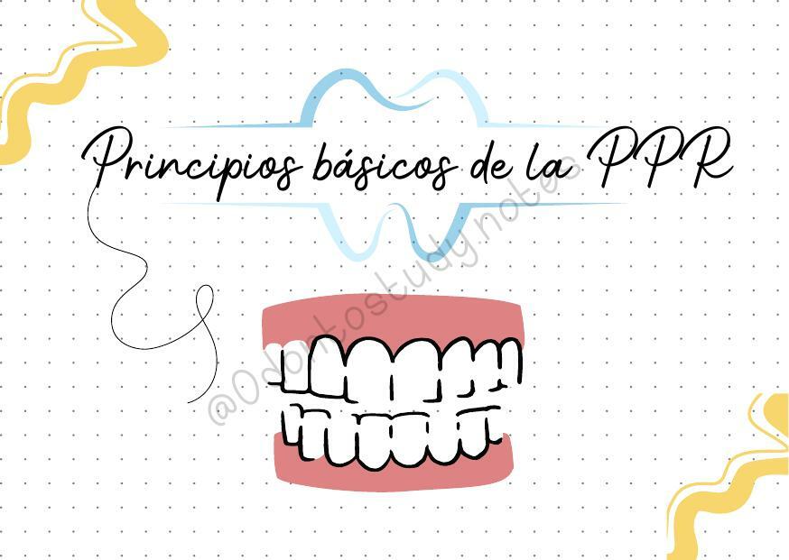 PRINCIPIOS BÁSICOS DE LA PPR