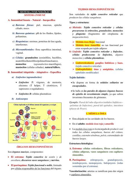 Histología - Resumen segundo parcial de Histoembriología