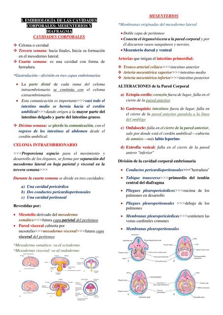 Embriología - Resumen tercer parcial de Histoembriología