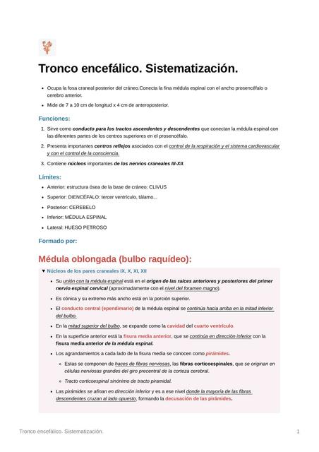 Neuroanatomía. Tronco encefálico, SNC, médula espinal, meninges, cerebro