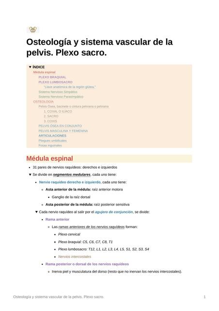 Osteología y sistema vascular de la pelvis. Plexo sacro