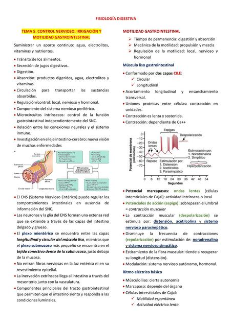 Fisiología digestiva