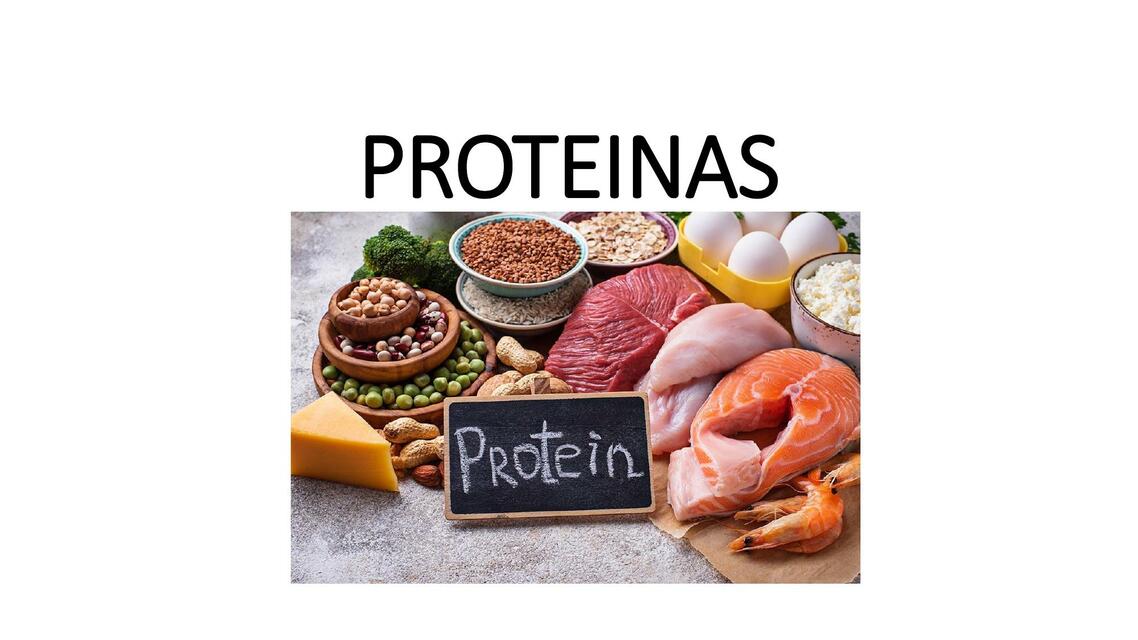 PROTEINAS