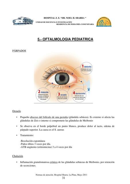 05 Oftalmologia p31 43