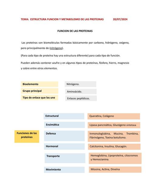 Metabolismo de la proteína