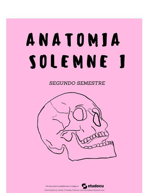 anato solemne 1