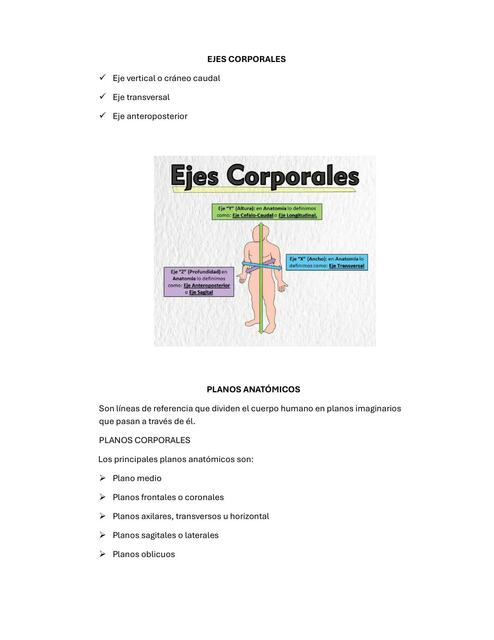 cuerpo humano 1 2