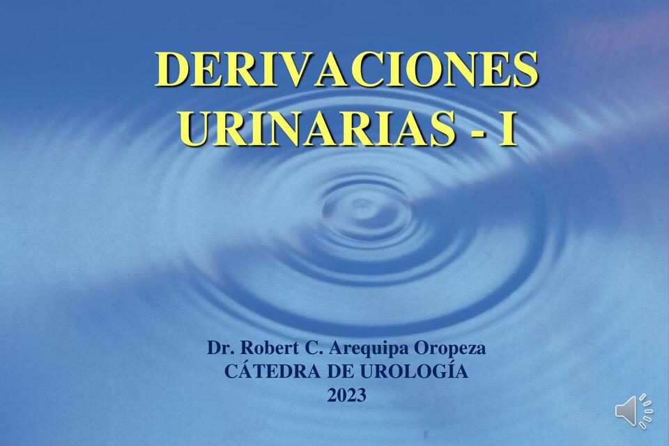 DERIVACIONES URINARIAS 1