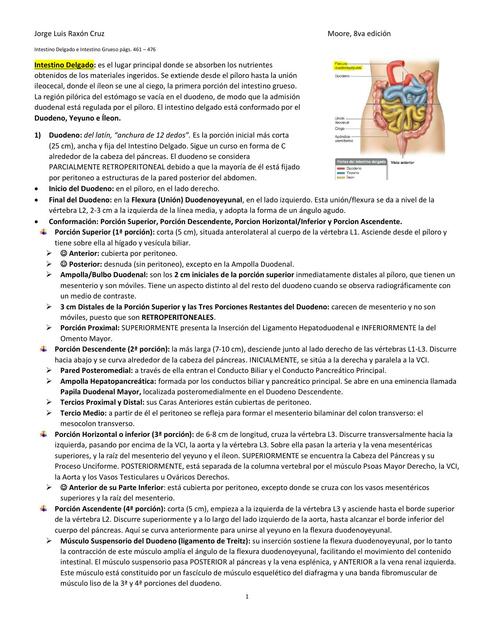 Intestino Delgado e Intestino Grueso 2